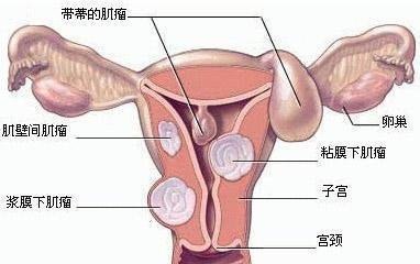第1491页