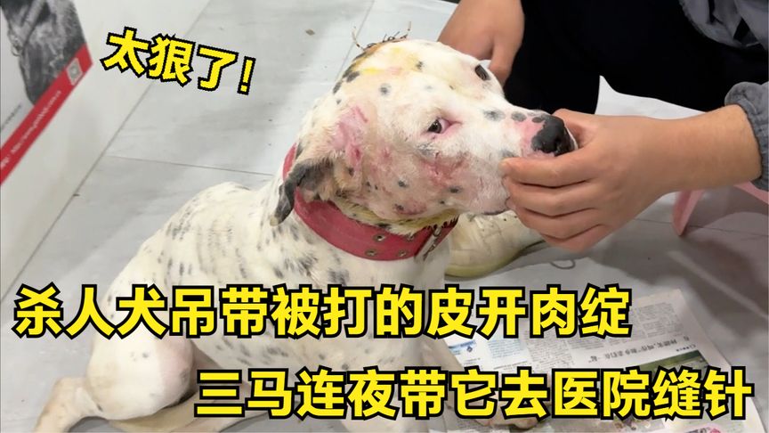 第816页