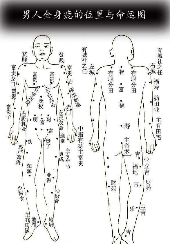 第781页